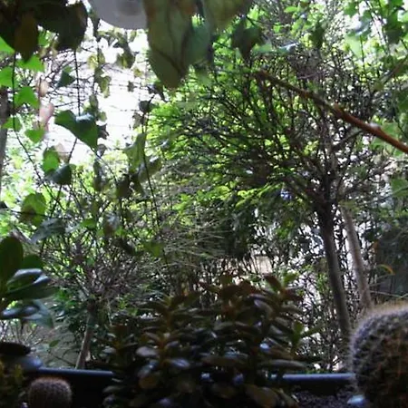 Monte-carlo מלון פריז